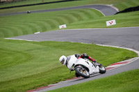 Advanced Group White Bikes